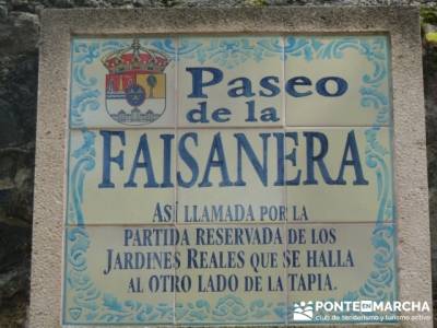 Ruta senderismo Peñalara - La Granja de San Ildefonso; viajes senderismo agosto